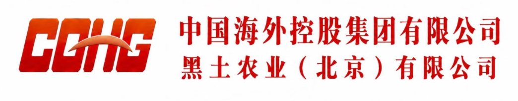 黑土两国双园建设平台